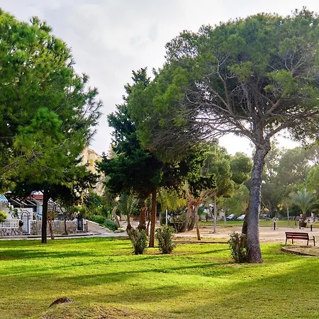 Family La Zenia